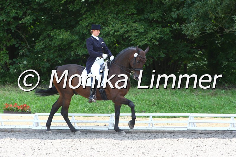 009M6535_Dacapo_Dressur Sx.JPG